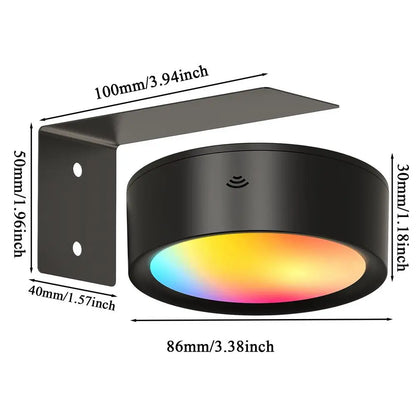 Magnetic LED Picture Light - Dimmable Wall Spotlight with Remote Control
